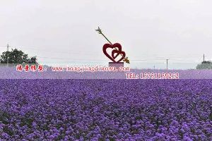 һĲP䓵@P䓵ܣӰǲP䓵